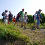 Weinbergsrundgang 2016