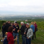 Weinwanderung Herbst 2014