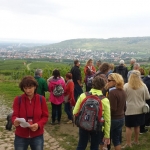 Weinwanderung Herbst 2014