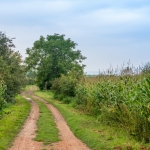 Weinwanderung Herbst 2014