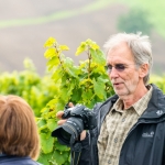 Weinwanderung Herbst 2014