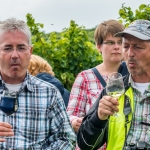 Weinwanderung Herbst 2014