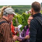 Weinwanderung Herbst 2014