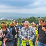 Weinwanderung Herbst 2014