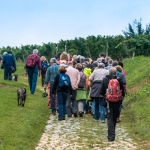 Weinwanderung Herbst 2014