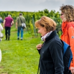 Weinwanderung Herbst 2014