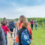 Weinwanderung Herbst 2014
