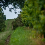 Weinwanderung Herbst 2014