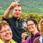 Weinwanderung Herbst 2014