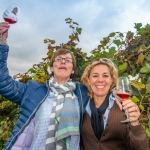Weinwanderung Herbst 2014