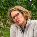 Weinwanderung Herbst 2014