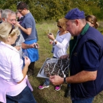 Herbstweinwanderung mit Picknick