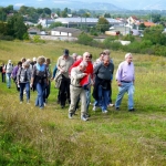 Weber's Weinwanderungen 2013