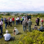 Weber's Weinwanderungen 2013