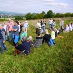 Weber's Weinwanderungen 2013