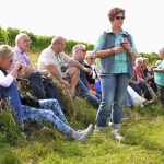 Weber's Weinwanderungen 2013
