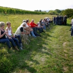 Weber's Weinwanderungen 2013