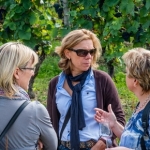 Weinwanderung 2013