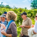 Weinwanderung 2013