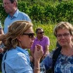 Weinwanderung 2013