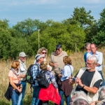 Weinwanderung 2013