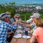 Weinwanderung 2013