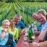 Weinwanderung 2013