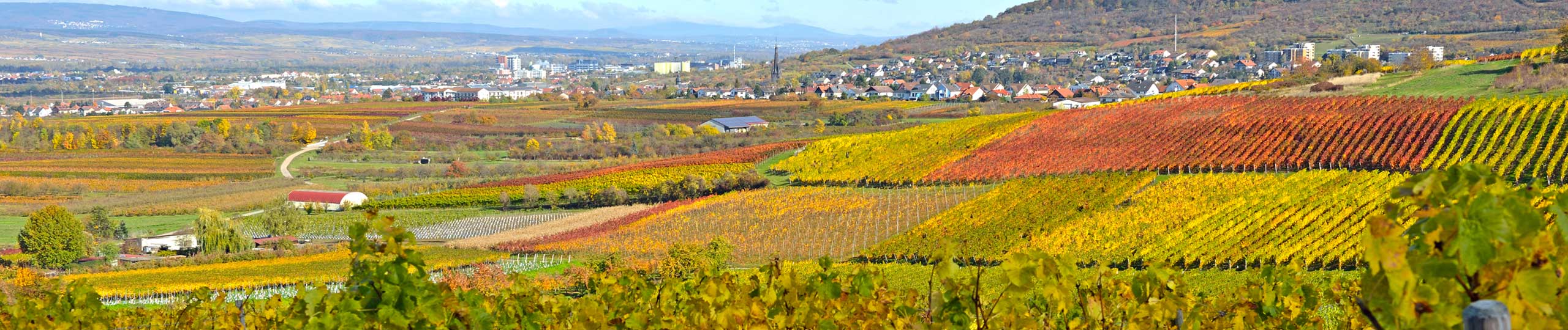 Weingut Helmut Weber