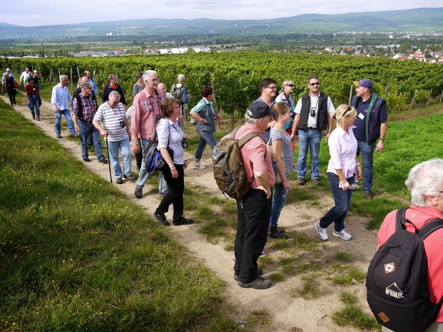 Weber's Weinwanderungen